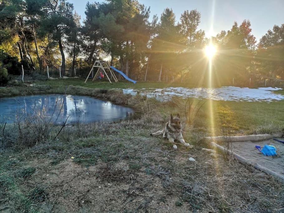 Mas Del Olivar La Portellada 外观 照片